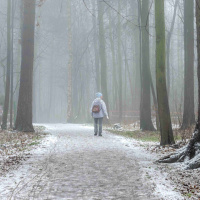 462 Att ge bort trettio minuter