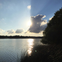 428 Sommarspecial 5 - tre framgångsfaktorer för företagare