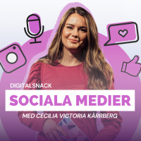 Lyckas med sociala medier 2024