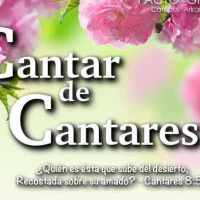 Cantar de los Cantares - Leccion 68