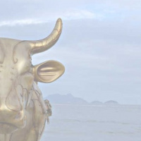 Marcher par la foi vs. Le veau dor