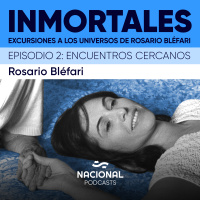 Excursiones a los universos de Rosario Bléfari: Encuentros cercanos