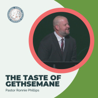 The Taste of Gethsemane