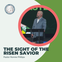 The Sight of the Risen Savior