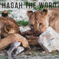 Hagah The Word