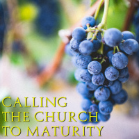 Calling the Church to Maturity