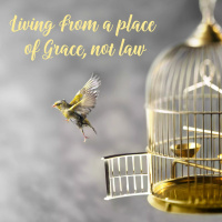 Living From A Place Of Grace, Not Law