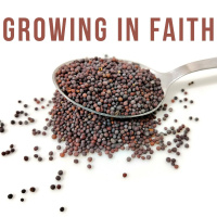 Growing in Faith