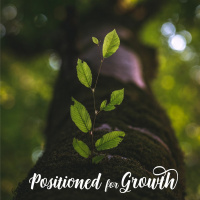 Positioned for Growth