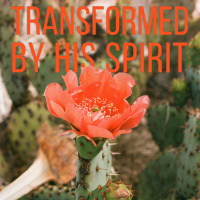 Transformed By His Spirit