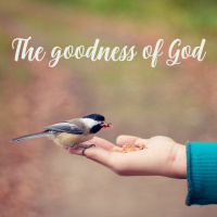 The goodness of God