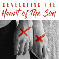 Developing the Heart of The Son