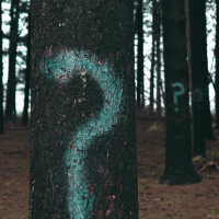 Answering Questions Concerning Giving