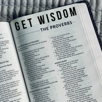 Get Wisdom