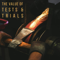 The Value of Tests  Trials