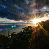 Hearing the voice of the Shepherd