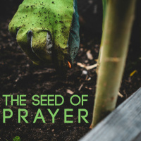 The Seed of Prayer