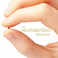 The Mustard Seed Principle