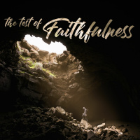 the test of Faithfulness