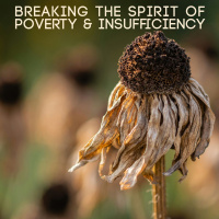Breaking the Spirit of Poverty  Insufficiency