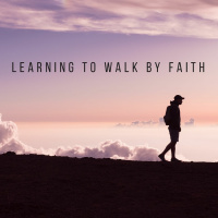 Learning to walk by Faith