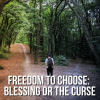 Freedom to Choose: Blessing or the Curse