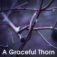 A Graceful Thorn