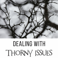 Dealing with Thorny Issues