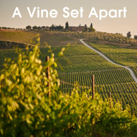 A Vine Set Apart