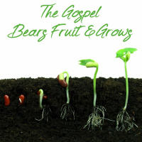 The Gospel bears fruit and grows (Colossians 1:1-14)