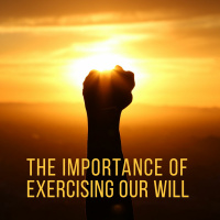 The Importance of Exercising Our Will