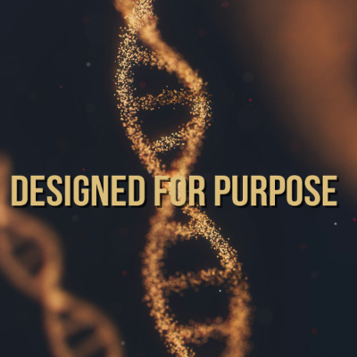 Alpha And Omega Ministries International audio Messages