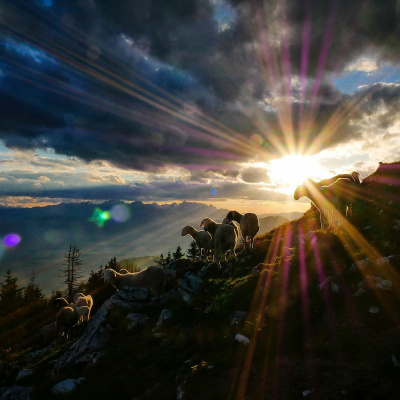 Alpha And Omega Ministries International audio Messages