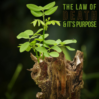 Alpha And Omega Ministries International audio Messages