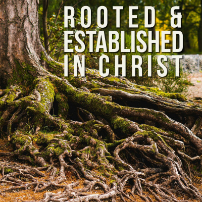 Alpha And Omega Ministries International audio Messages