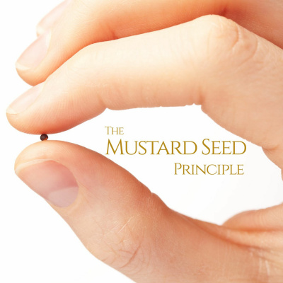 Alpha And Omega Ministries International audio Messages