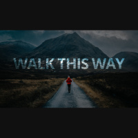 Walk This Way (Audio)