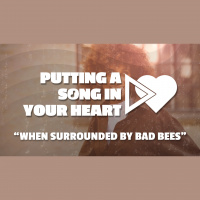 When Surrounded By Bad Bees (Audio)