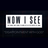 Disappointment with God (Audio)