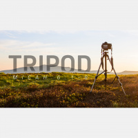 Tripod (Audio)