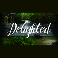 Delighted (Audio)