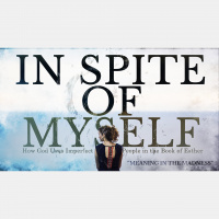 Meaning in the Madness (Audio)