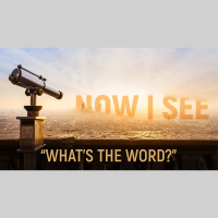 Whats the Word? (Audio)