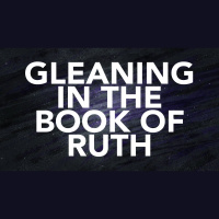 Gleaning in the Book of Ruth (Audio)