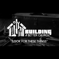 Look For These Things (Audio)