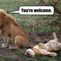 Episode 25: Why Not Swipe Right?