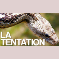 Tu ne convoiteras point, Ex 20.17