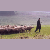 #2 - LEternel est mon Berger