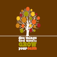 Five Things God Uses to Grow Your Faith - Part 2