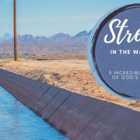 Streams in the Wasteland Part 2